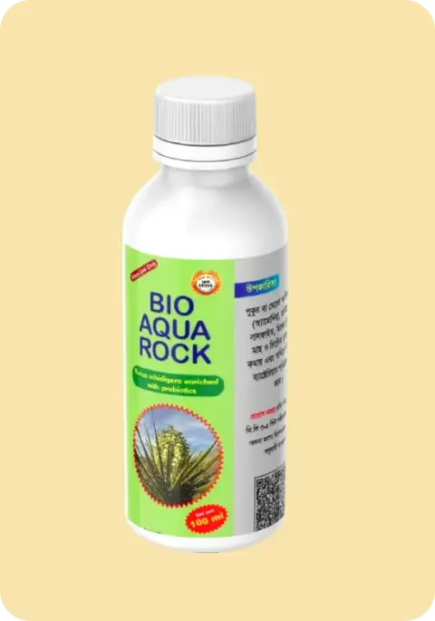 Bio Aqua Rock