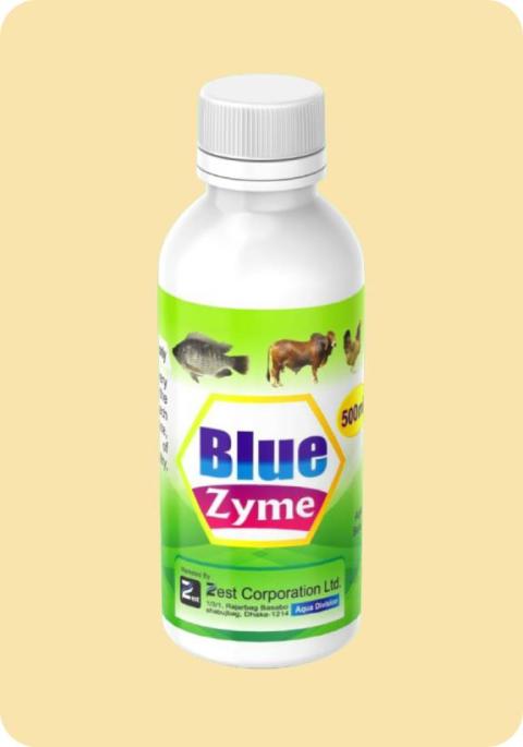 Blue Zyme