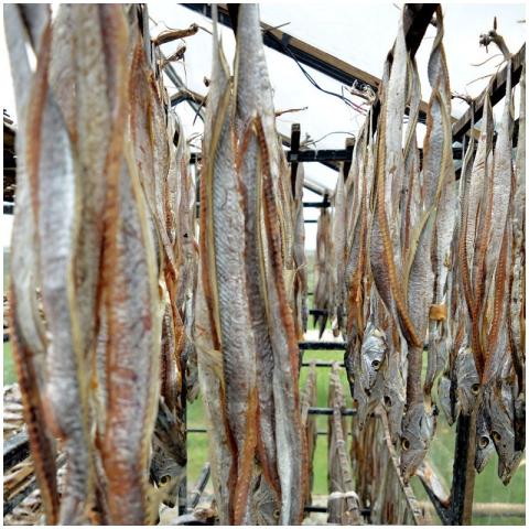 Shutki(ছুরি শুটকি) Dry Fish-1 kg